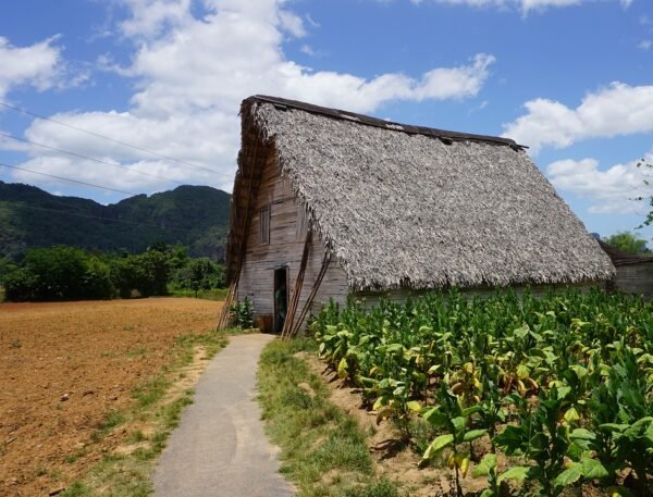 cuba, vinales, plantation-1936263.jpg